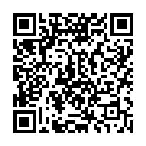 而且还是施展出了法天象地这等霸道的上古巫族术法二维码生成