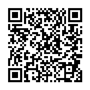 而且还是算上陷仙剑和韩无杀的偷袭也仅仅只有三成把握二维码生成