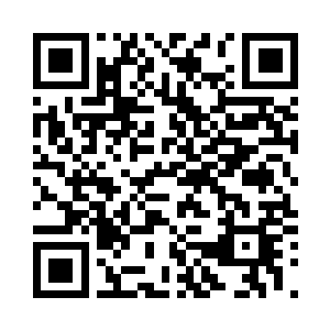 而且还是金利坚家族的两大王者之一二维码生成