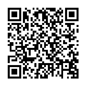 而且还是附带生活日常偷拍照片以及个人一千字简介二维码生成