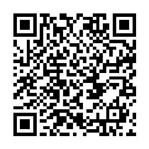 而且还有一个人造的男人的东西缝结在杨凤栖的正前方二维码生成
