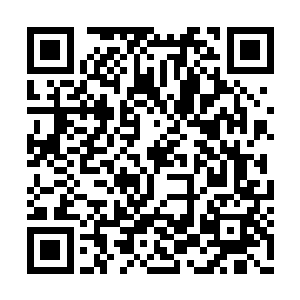 而且还特地邀请了他们的老东家――基督山伯爵二维码生成