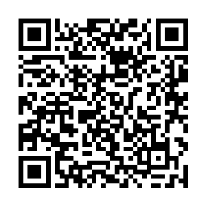 而且还睁开了眼睛一直在和雷欢喜做着眼神上的交流二维码生成