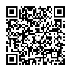 而且还能在关键时刻吸取这些鬼王令中储备的力量二维码生成