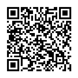 而且还能在这个龙蛇混杂的江州市里混得风生水起二维码生成