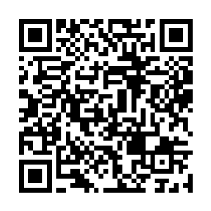 而且还遇到了一个天尊期大修士江天水的刺杀……二维码生成