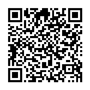 而且还2比0横扫了赛前很被大家看好的新锐战队w1a二维码生成