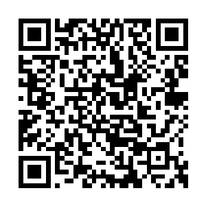 而且这一路上还没有被半龙山的那些半龙族发现二维码生成