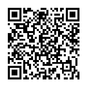 而且这两个修士所遭受的伤害明显比他们的族长厉害得多二维码生成