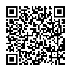 而且这也不是单凭你养剑池天和我信风符诏可以办到二维码生成