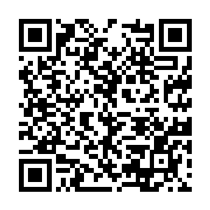 而且这些人全都是大家族大势力或者那些山门的人二维码生成