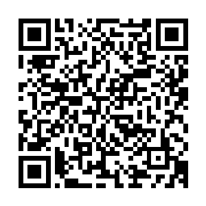 而且这些参赛的修士也都知道燕山魂此时正在城外为许紫烟护法二维码生成