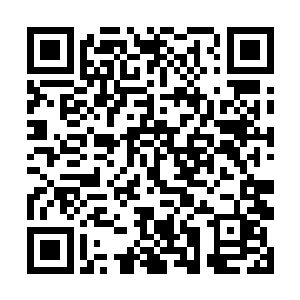 而且这些惊讶加起来都比不上夏天给她喝血的那一刻二维码生成