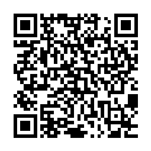 而且这些药材基本上百分之八十以上全都是被杨戬移植了过去二维码生成