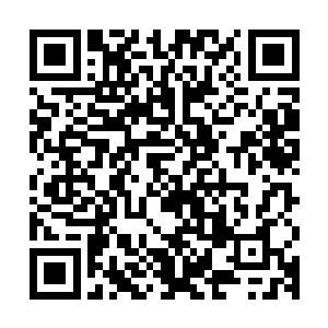 而且这些赛尔亚人所临时组建的赛亚王国我也详细的了解了一下二维码生成