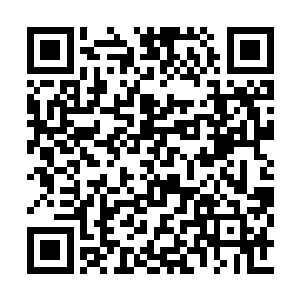 而且这些边界之间的小喽啰它们也管不了这么多二维码生成