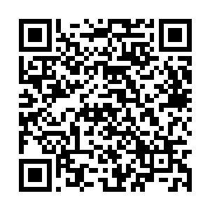 而且这仙元丹修为太低的人就算手上有也无福享受二维码生成