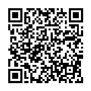 而且这件神器已经完全和万煞真域融合到了一起二维码生成