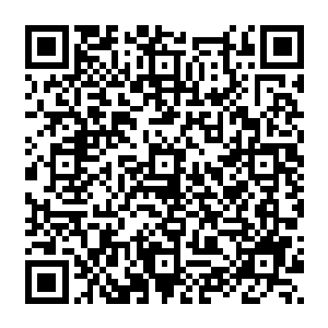 而且这几日西陵大军也十分消停她所要处理的也都是一些不需要费什么劲的文案上的事情二维码生成