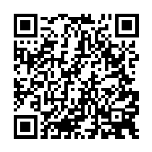 而且这十一种属性中的每一种都是用星核炼制而成二维码生成