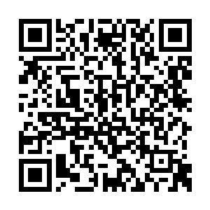 而且这四大家族几乎是白子河查询了许多的东西二维码生成