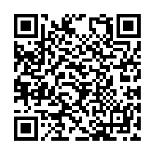 而且这家伙的握力也太离谱了吧……这样下去不行二维码生成