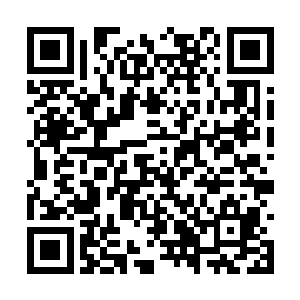 而且这时几个人已经散开搜索了小孩儿附近的地方二维码生成