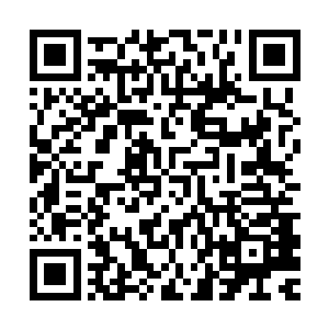 而且这样贸然搀和进极端宗教武装分子的打击行动中有什么意义二维码生成
