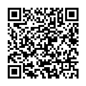 而且这次曦儿还告诉我他得到了一个惊天的大秘密二维码生成