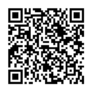 而且这次鲍勃巴克号与捕鲸船队的冲突引起了轰动二维码生成