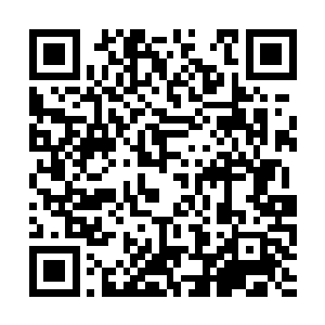 而且这百臂也不像是历经千锤百炼封圣的真正百臂二维码生成