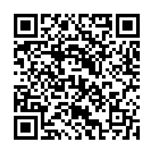 而且这血脉之力跟叶然之前拥有着的雷霆血脉旗鼓相当二维码生成