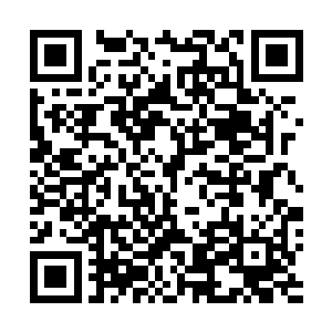 而且这近十年来十二远古天尊和九大宗主似乎集体失踪了二维码生成