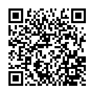 而且这里的所有植物都是用龙族的血肉凝聚出来的二维码生成