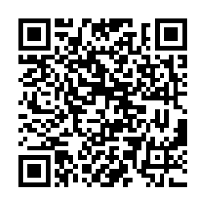 而且这里这么多积累深厚却不得突破的五级碧鳞鬼鲛二维码生成