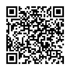而且这黑墨王土完全可以作为他用来进化浮屠功法的源五行二维码生成
