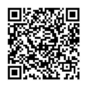 而且进化的目的就是适应更加高层次也更加残酷的环境二维码生成