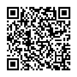 而且追杀我的人都是十大ss级佣兵和五帝那样的存在二维码生成