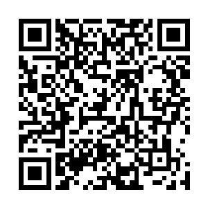 而且道韵这么厉害的东西又怎么可能是那么容易就被掌握的二维码生成