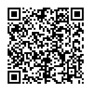 而且那两条小腿粗的也不知道是让杜合两人喂的还是骨架子就这和壮实二维码生成