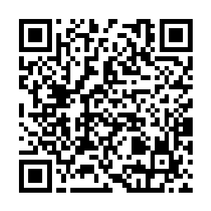 而且那些敌人的实力刚开始都不是夏天能够对付的二维码生成