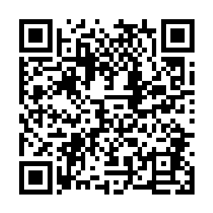 而且那些罗刹也是在这个回合交手的时候死了十个二维码生成