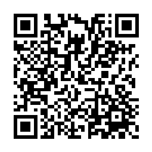 而且那些西门世家的子弟也没有苏凡的那种速度二维码生成