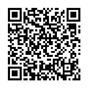 而且那些青蛇殿和赤蛇殿的弟子自恃大势力子弟二维码生成