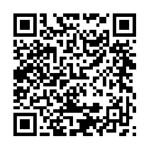 而且那些鸟人想要来我们天域好像也不是那么简单的二维码生成