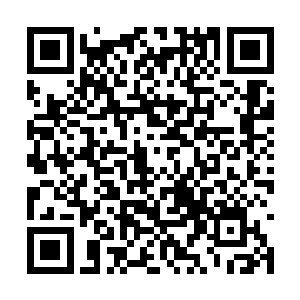 而且那药人的没有血液腹内更是化成如铁石的东西二维码生成