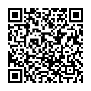 而且那越来越厚的古藤在坚韧中有着极强的反震之力二维码生成