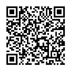 而且郑一哲还倚老卖老拍着市政法委书记的儿子张雷的肩膀二维码生成