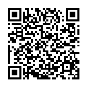 而且都学会了如何幻化出对方的魂魄来进行诊断病情二维码生成