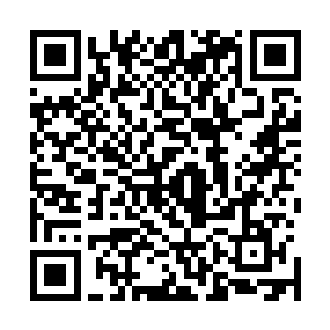 而且闹出来对苏紫萱的形象名声也会引起一些不必要的影响二维码生成